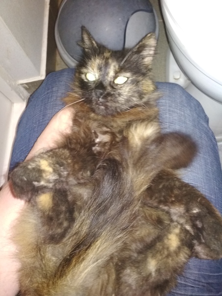 4A2F9B84-38B2-4DBF-BA67-91882730C5B6