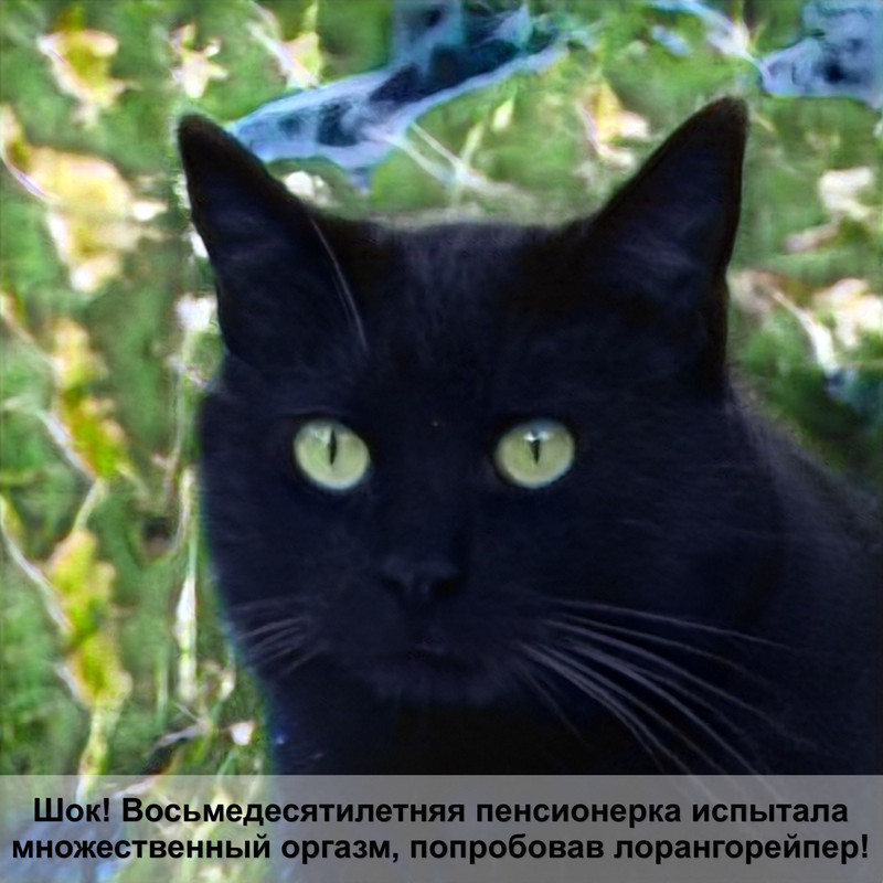 лежанка для кота