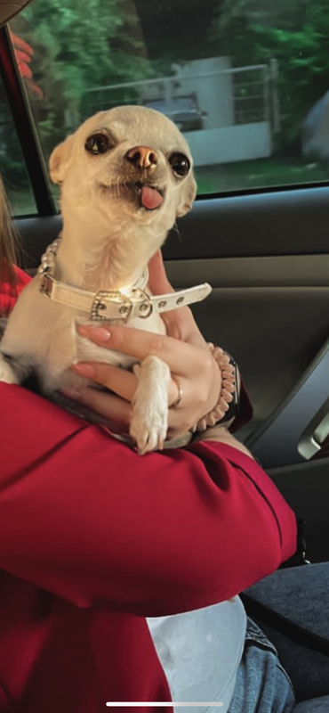 4B985D7A-8E7B-45EB-9C50-DDFC8B6982EF