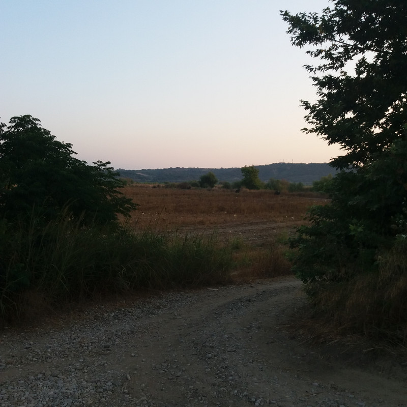 20190815-071157.jpg