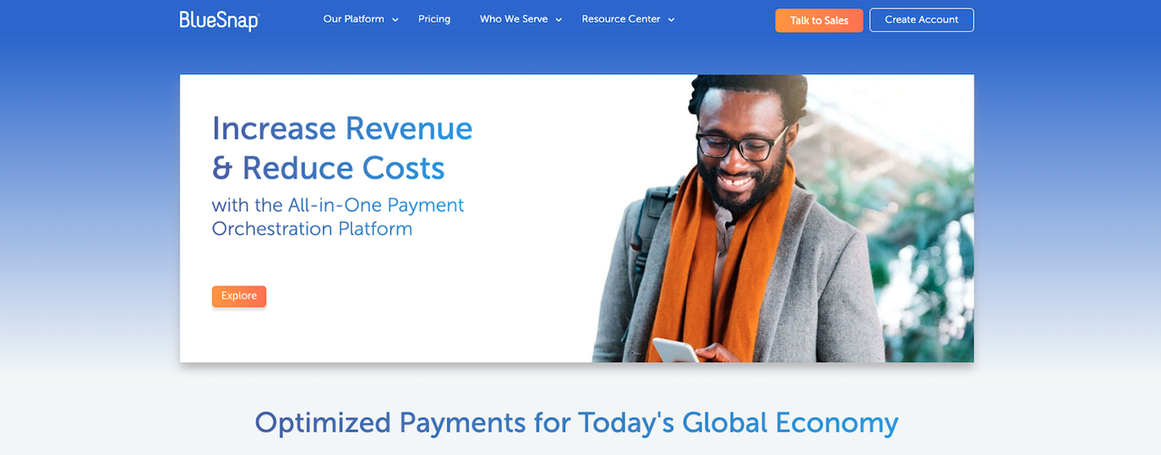 Bluesnap homepage