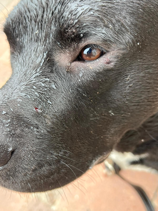 BBA0ED28-1403-4A0C-A93B-42464DCDFA1D