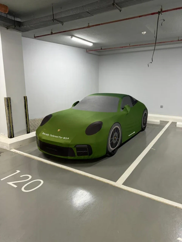 Porsche Targa Indoor Artistic Cover