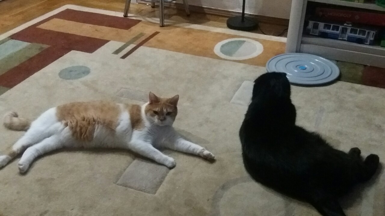 Ксю у Ольги Миры3