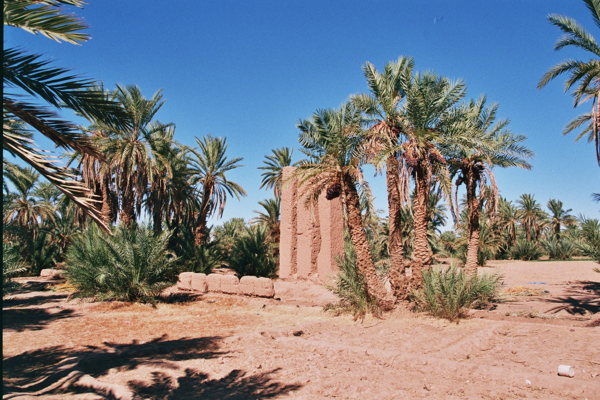 El Valle del Drâa, la gran arteria del sur de Marruecos - Blogs de Marruecos - Información viajera e histórica (23)