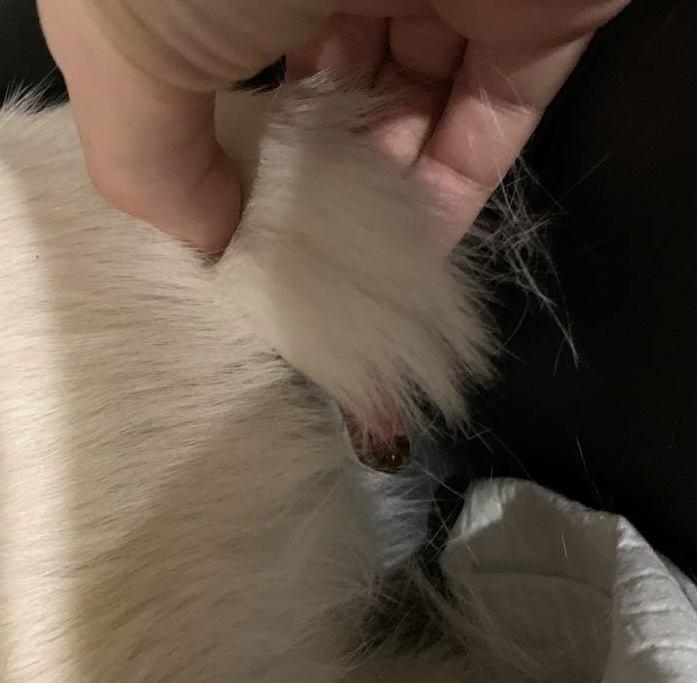 7AAFBC1F-80A9-45E2-8EAF-678C2719F33C