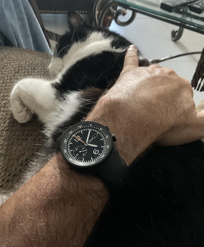 1EB9EA17-CD50-4AC1-A497-3BED347170D6