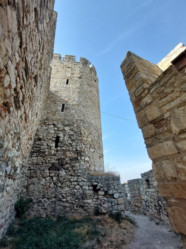Slika