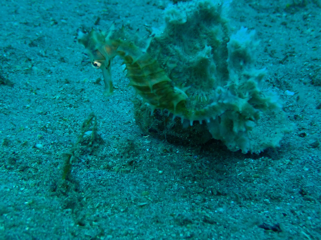 1C83F3A5-6152-4376-B1B5-264F9D8CF0DD