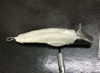 74706A4E-4D6A-4CA5-AD3B-9071FF3006A9