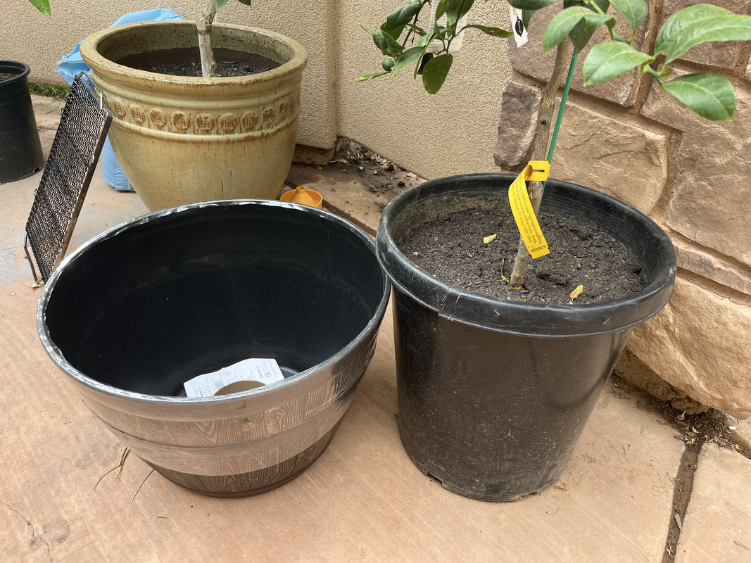 064DE7AD-171D-44D9-AA7C-863CDA45B7AE