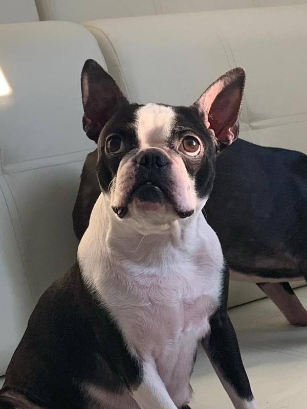 9858CCB8-FD75-4641-BF2B-921243A2E2F9