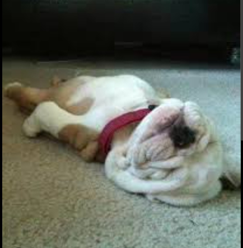 Screenshot_20230125_155822_Chrome