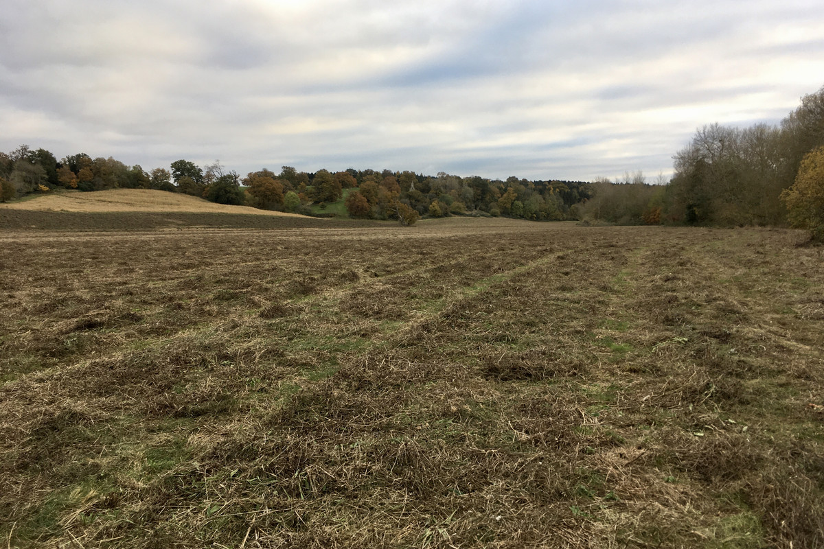 B42CE40F-DC44-4086-8E5C-420E6BAF0CE9