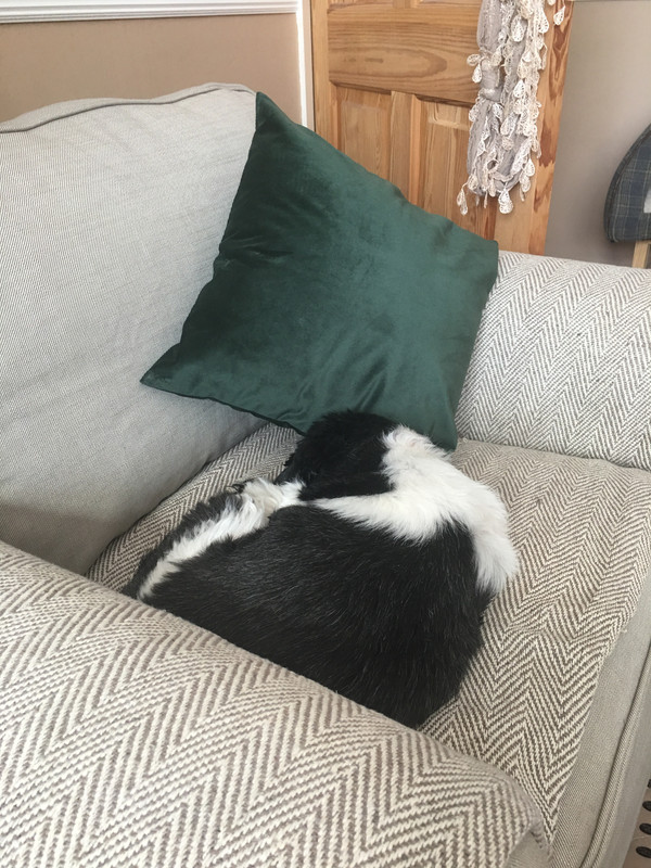 76BC2718-8D29-4A74-8656-825E3E626BD8