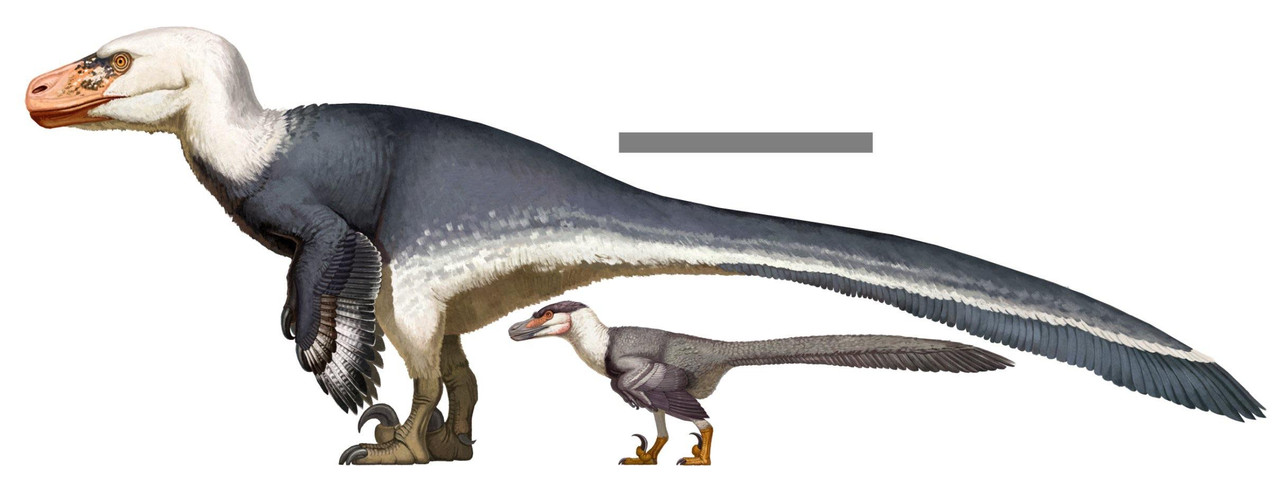 [Obrazek: ehc8zt21cb0c1.jpg]