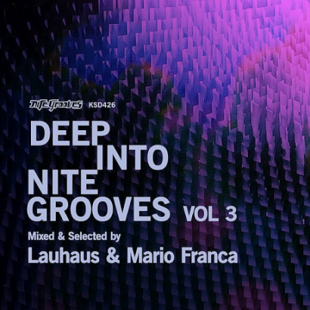 VA - Deep Into Nite Grooves Vol. 3 Mixed By Lauhaus and Mario Franca (2020)