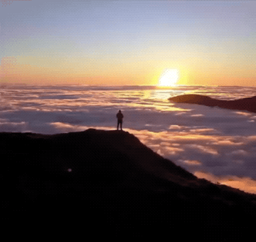 GIFs-13