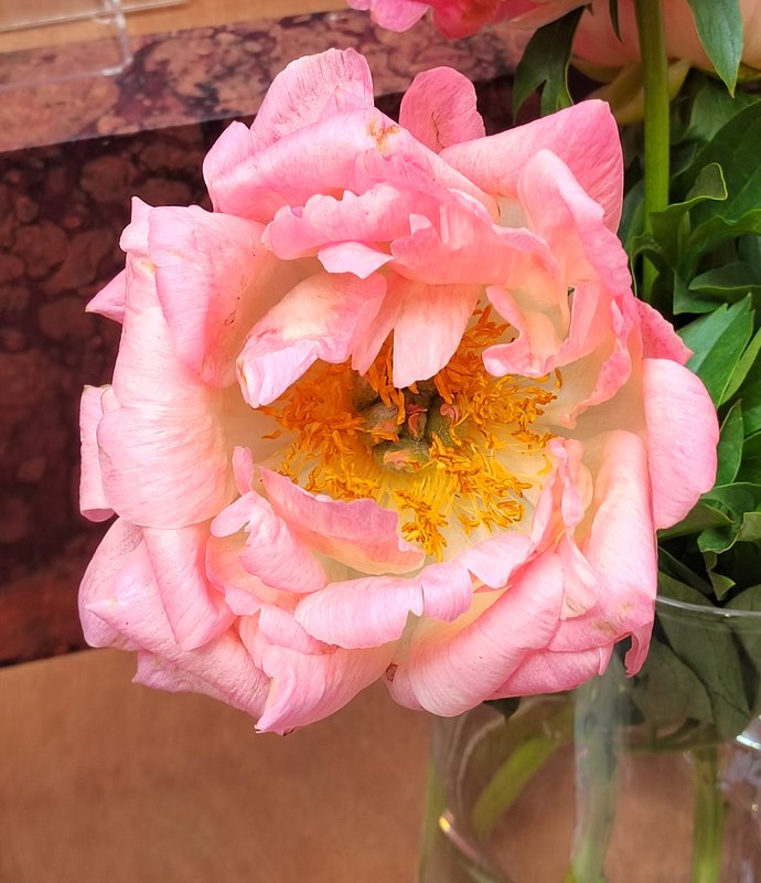 https://i.postimg.cc/NM3Tw3P6/33-IMG-20250610-110819.jpg
