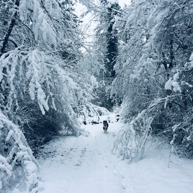 DEED5294-6013-4212-AF69-52E323922F67