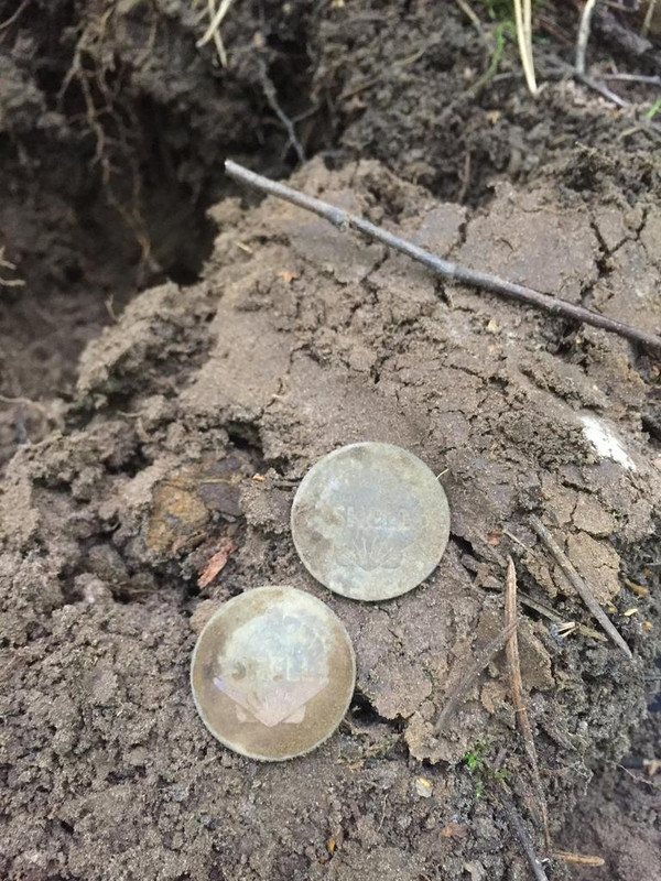 A4434891-8B80-4EA2-926E-A708CB474FE1