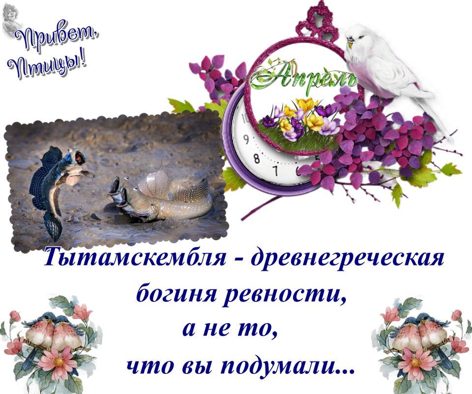 https://i.postimg.cc/NM3Ydd1S/10-04.png