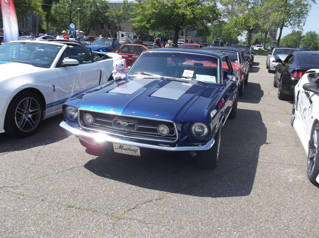 Activité 2023: Bénédiction des Mustang le 28 mai 2023 1967-1