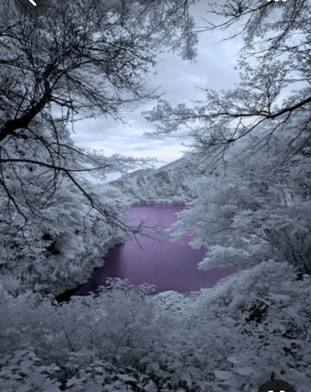 Screenshot_20230429_011739_Pinterest