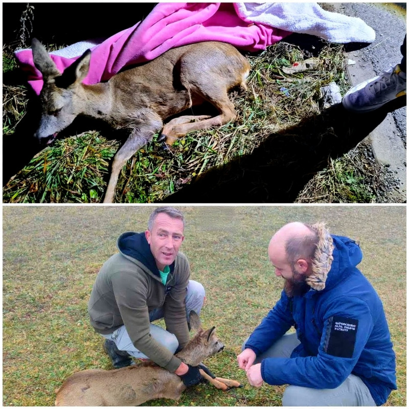 5c64d186 5c9b 4330 bac4 ca852592fd82