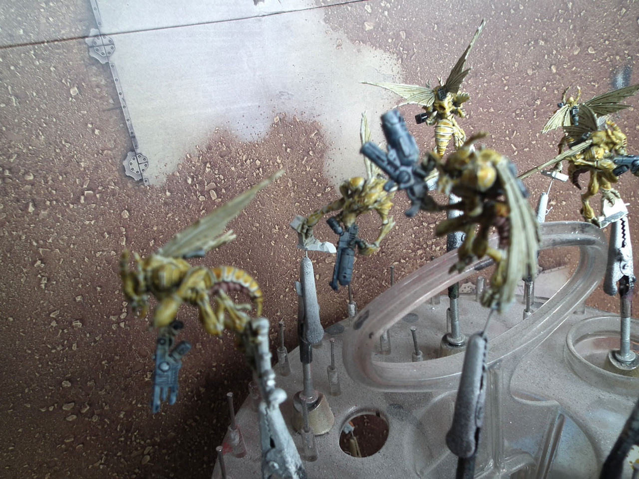 Tau-DSCF1127.jpg