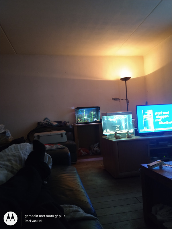 IMG_20201108_164355172