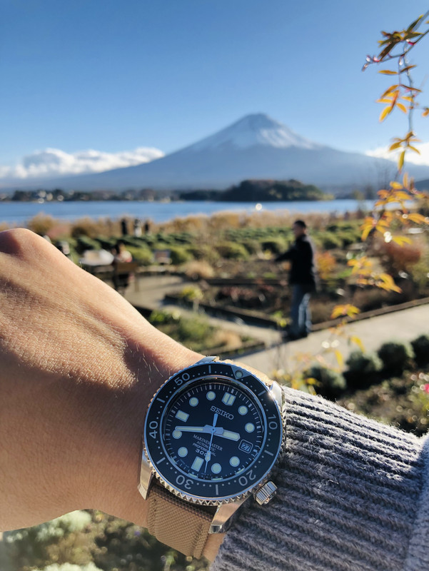 04390715-E02B-481A-B3FF-4673AE6DB41B