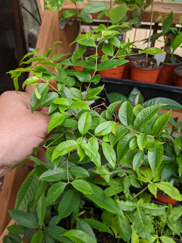 PXL_20230724_190523014