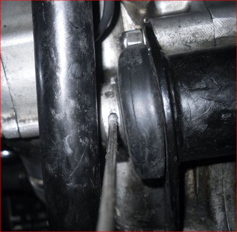 Greeting from a New Member and Norton Newbie