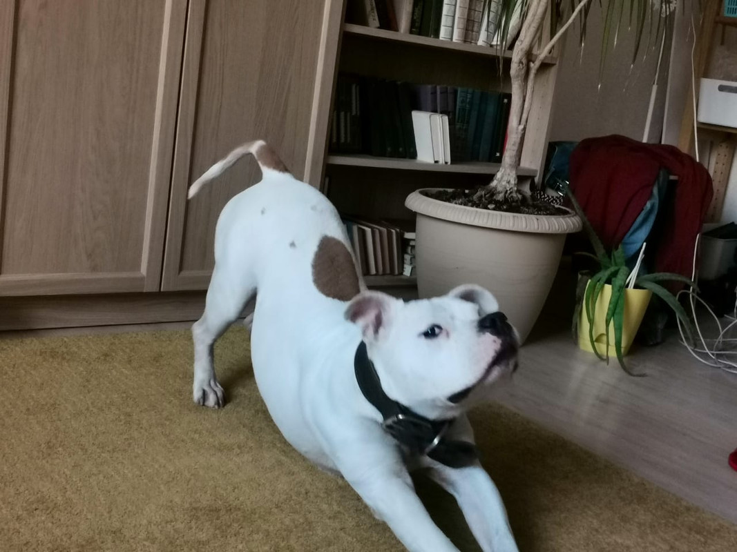 73B8FE52-324F-4C5C-94AA-EE951D8E7DF4