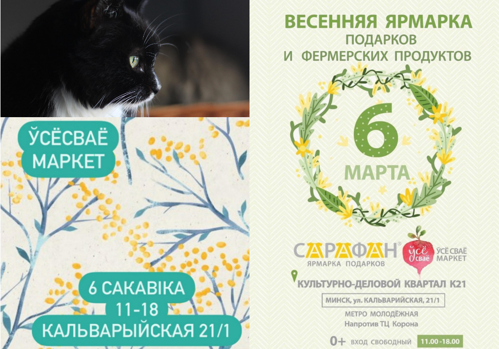 Универсальная запись ВКонтакте 1000x700  пикс (15)