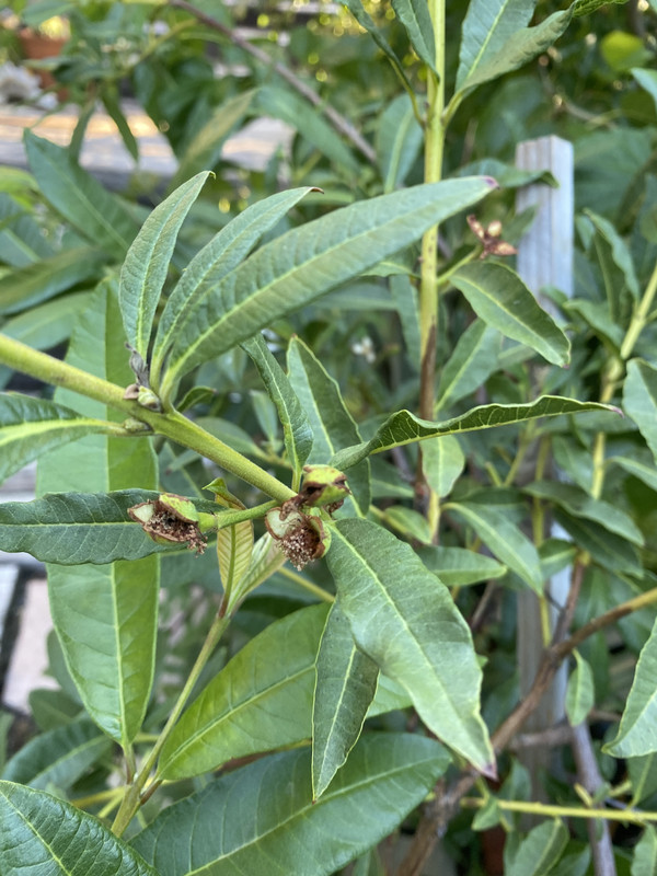 2F37F1BA-7529-4BC2-9160-61A7260B527C