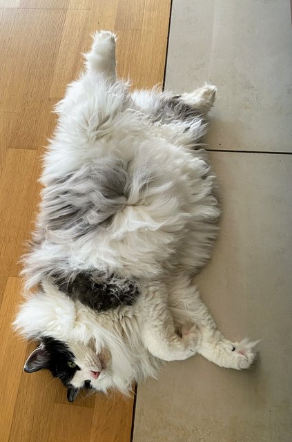 6347-B697-0-BAD-4973-91-FF-2-CC5-E0-D7-D