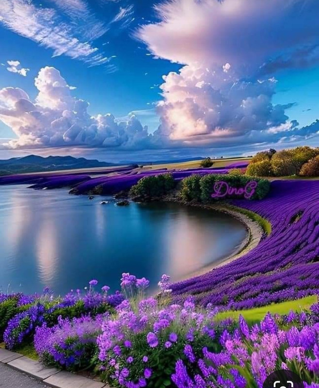 Screenshot_20240411_202659_Pinterest