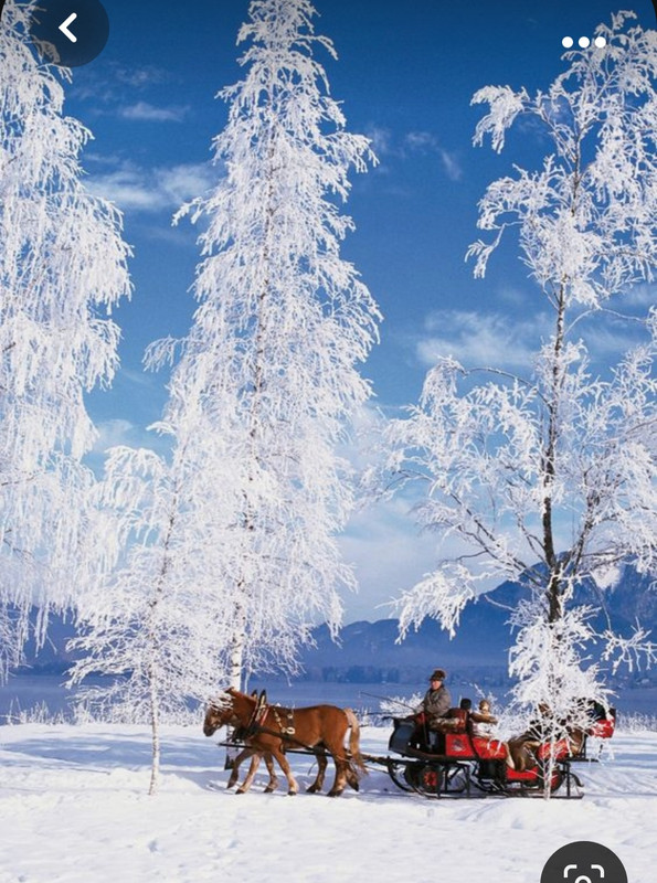 Screenshot_20231102_000939_Pinterest