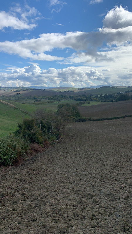 E57A2338-D532-4CCF-B2BE-155CA336F89D