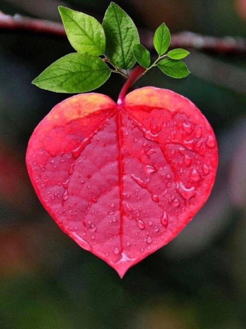 [Image: IMG-8745.jpg]