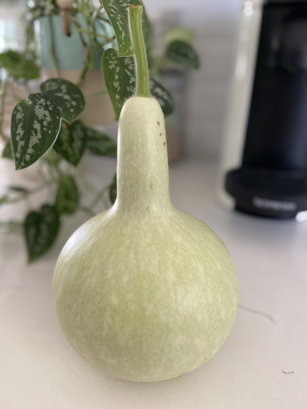 [Image: 063345-E7-431-E-4-C8-B-9-B0-D-FAABD8-D70296.jpg]