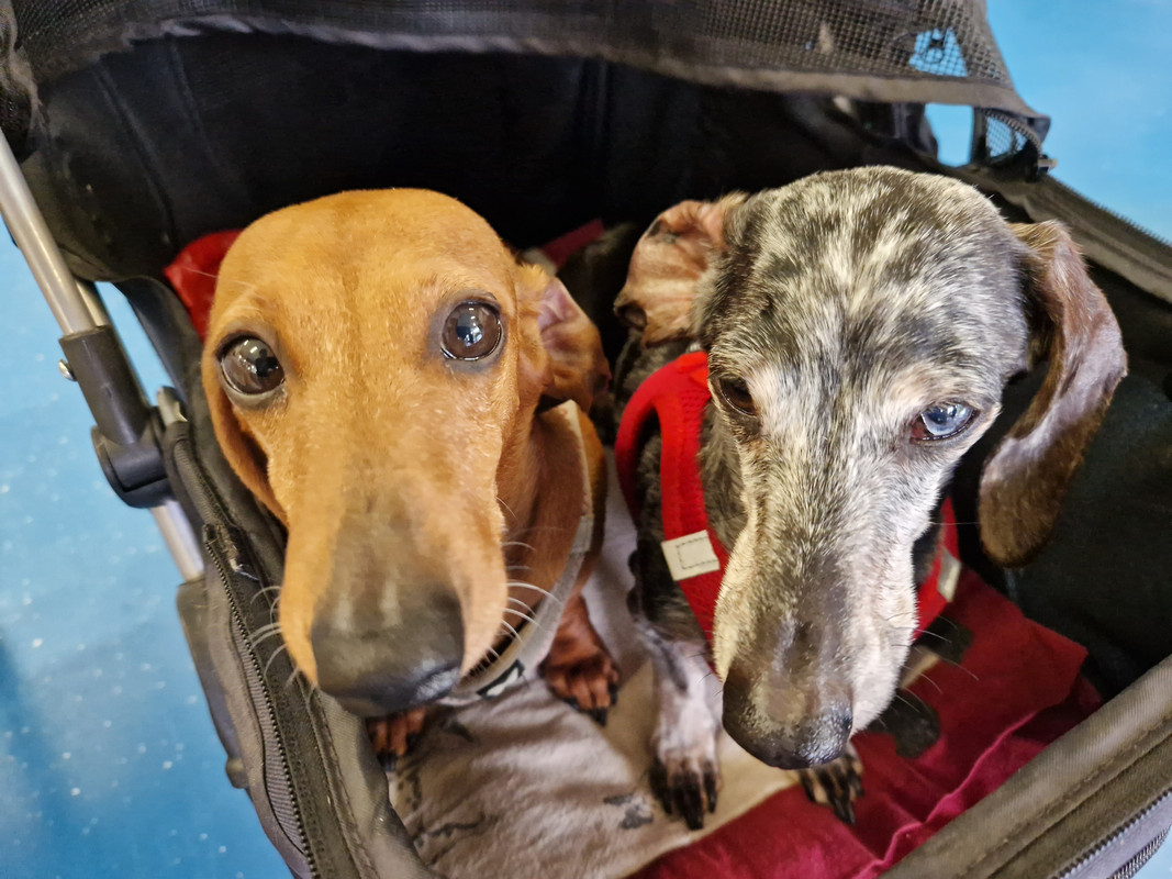 [Image: 20230507-162317.jpg]