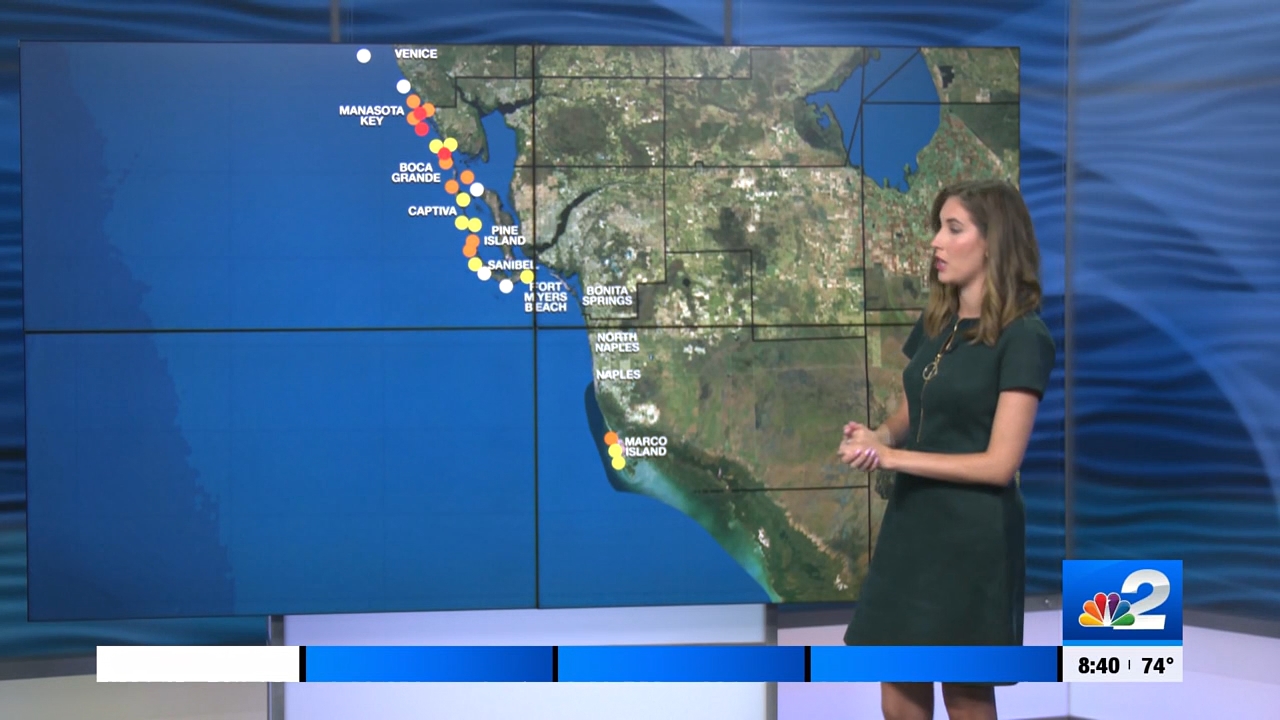 04.08 - 13.30.00 - NBC 2 News Today - Saturday  ᴺᵉʷ..ts_snapshot_00.17.12.598