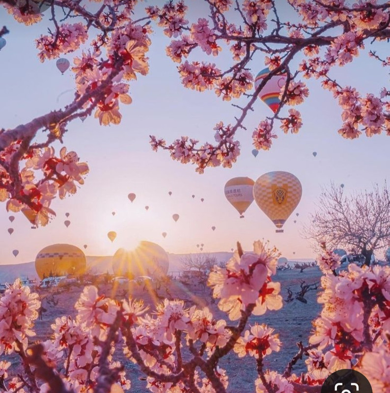 Screenshot_20240405_210109_Pinterest