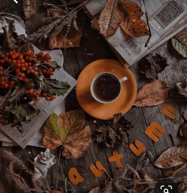 Screenshot_20230909_011653_Pinterest