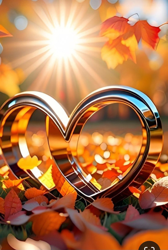 Screenshot_20231127_215005_Pinterest