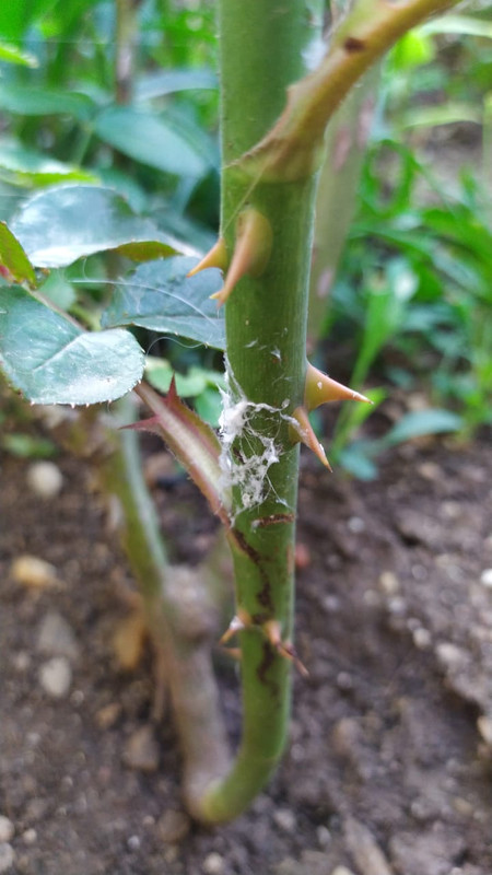 248F48D2-A73C-4D8A-83F2-002C51B50D27