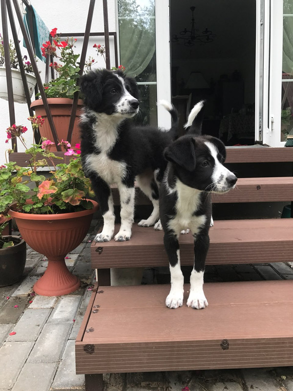 IMG-2c8048ceb84069107ededefa21dd6307-V